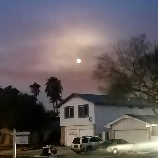 ghostwerk - SHADOW FUNCTION