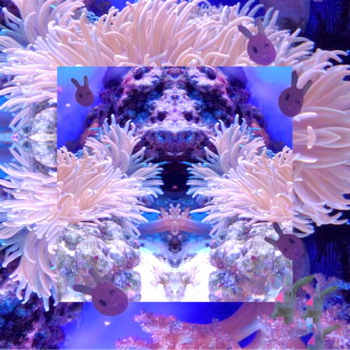 ♡u∫agi幻覚∀∁lᙌ✬ - ᏕคᏁᎶᎧ